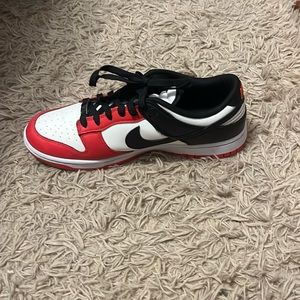 Nike dunk low 75th anniversary